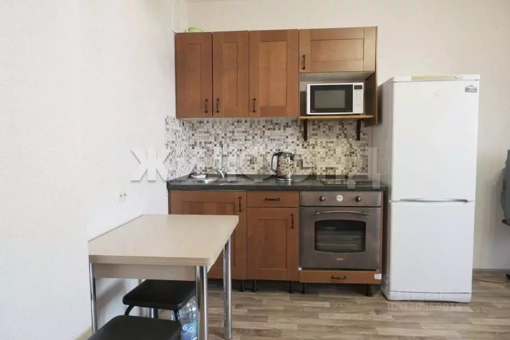 1-к кв. Новосибирская область, Новосибирск ул. Петухова, 95/4 (24.1 м) - Фото 1