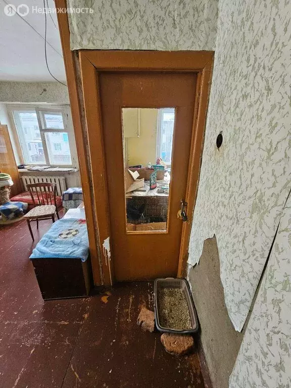 1-комнатная квартира: посёлок Спутник, 16 (31.8 м) - Фото 1