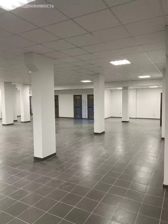 Помещение свободного назначения (237 м) - Фото 2