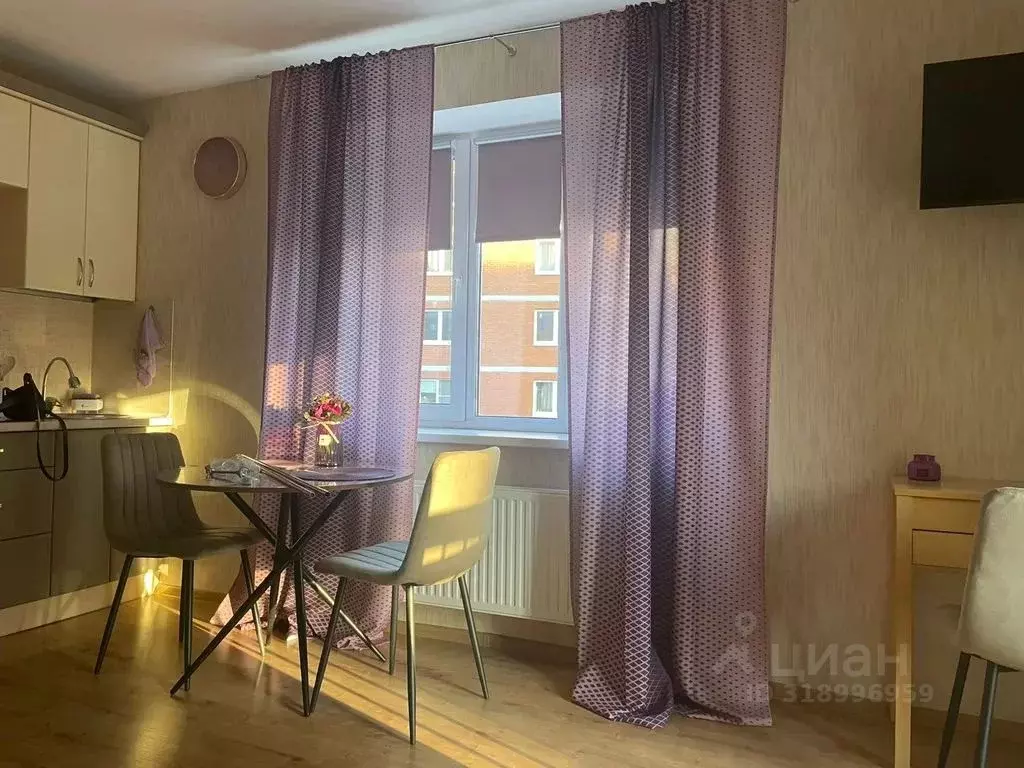 Студия Санкт-Петербург Усть-Славянка тер., просп. Советский, 39к1 ... - Фото 0