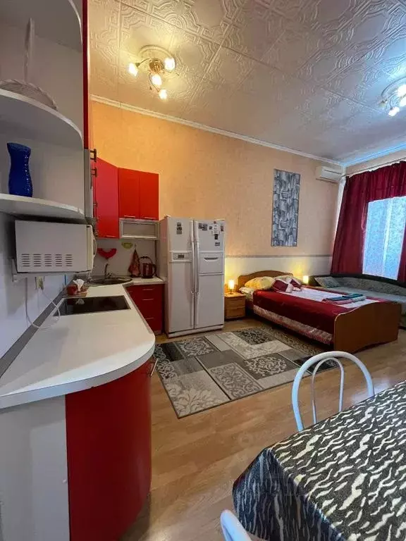 Студия Омская область, Омск ул. Профинтерна, 10 (30.0 м) - Фото 0