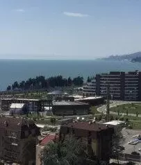 1-к кв. Краснодарский край, Сочи ул. Ленина, 298б (34.0 м) - Фото 0