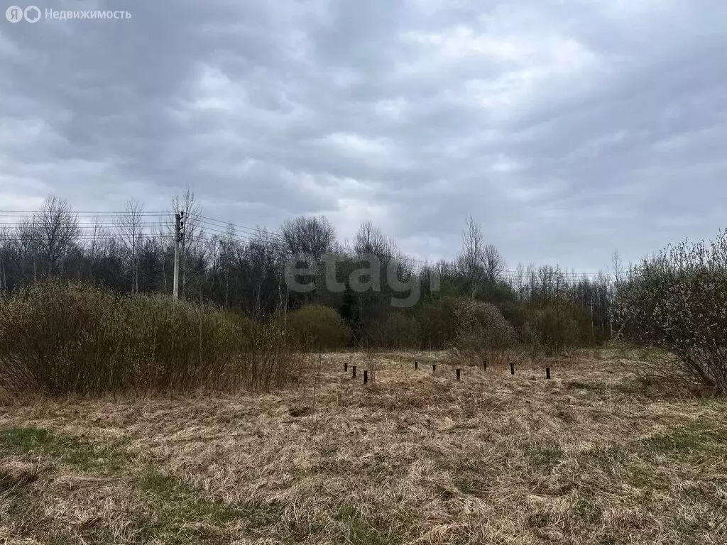 Участок в деревня Кусино, Новая улица (19.2 м) - Фото 2