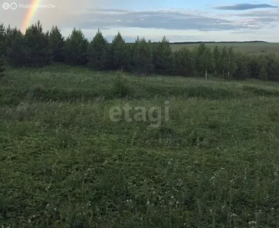 Участок в Высокогорский район, Чернышевское сельское поселение, село ... - Фото 2
