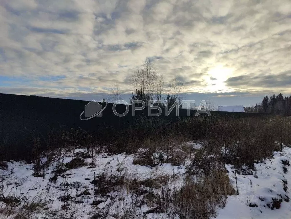 Помещение свободного назначения в Тюменская область, Нижнетавдинский ... - Фото 2