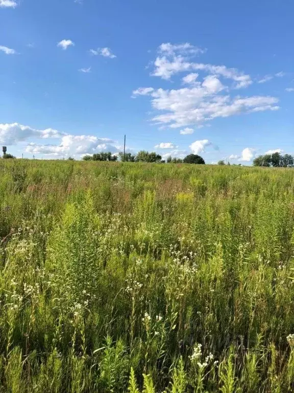 Участок в Орловская область, Орловский район, д. Дубовая Роща  (25.0 ... - Фото 2