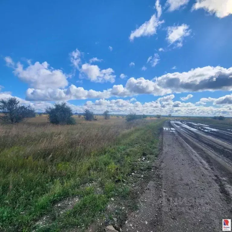 Участок в Челябинская область, Южноуральск  (900.0 сот.) - Фото 2