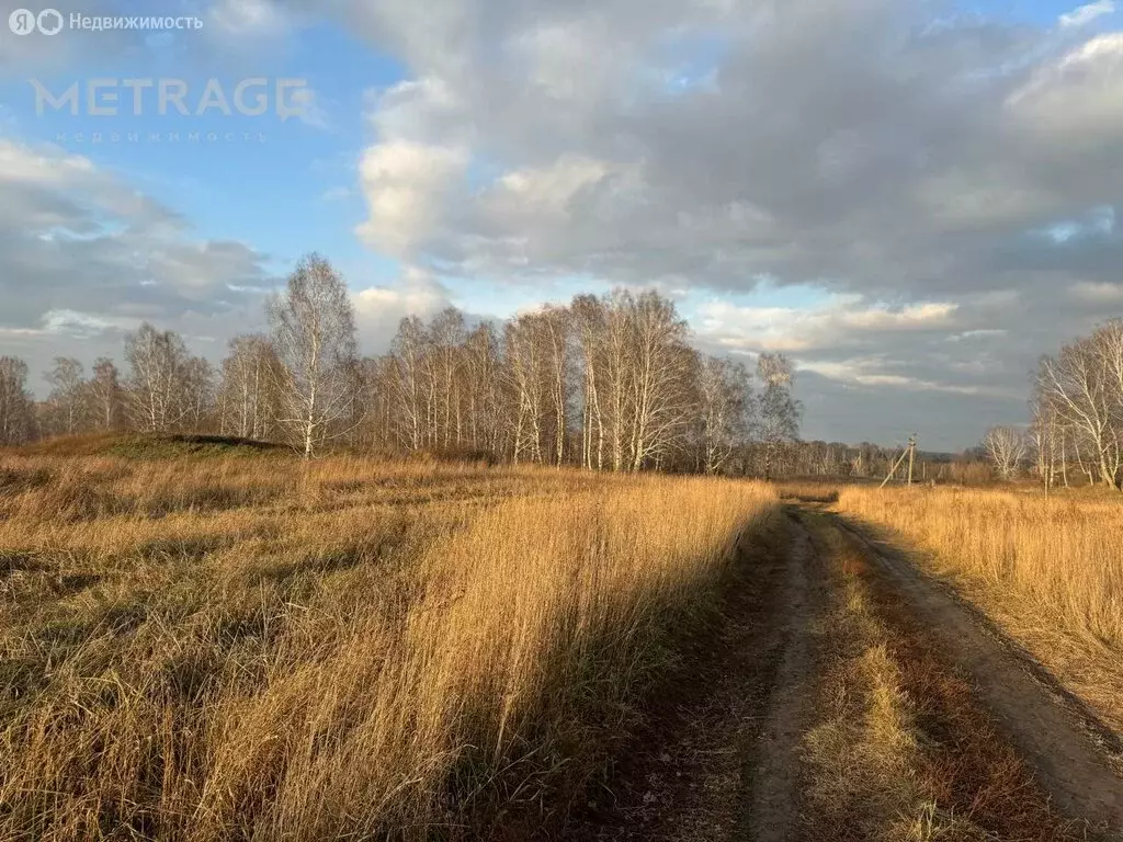 Участок в Каменский сельсовет (100 м) - Фото 1