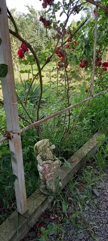 Участок в Ростовская область, Азов Азовский район, ул. Калинина (5.4 ... - Фото 1