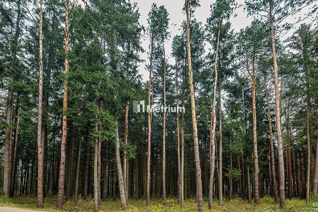 Участок в посёлок Барвиха, территория Сады Майендорф (57.9 м) - Фото 1