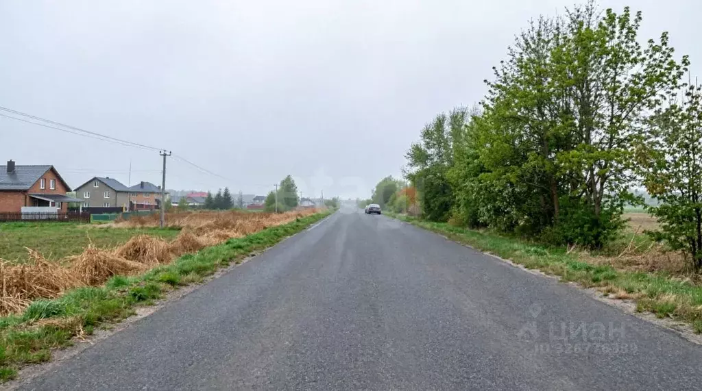 Участок в Ярославская область, Ярославский муниципальный округ, д. ... - Фото 2