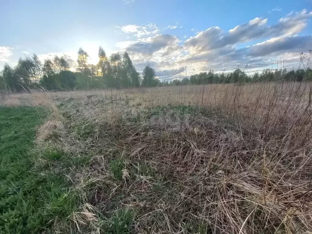 Участок в Смоленская область, Смоленский муниципальный округ, д. ... - Фото 1