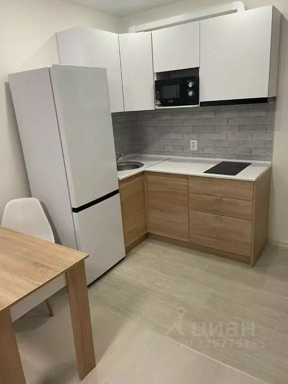 Студия Кировская область, Киров Заводская ул., 14 (23.0 м) - Фото 2