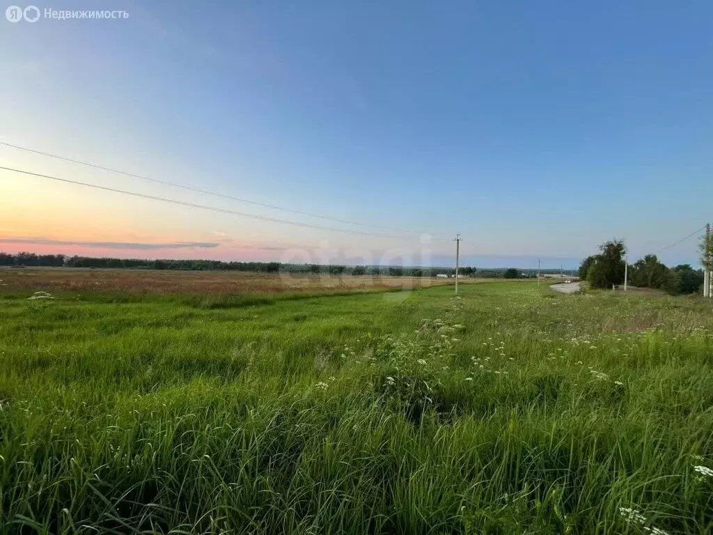 Участок в Нерехтский район, Пригородное сельское поселение, деревня ... - Фото 2