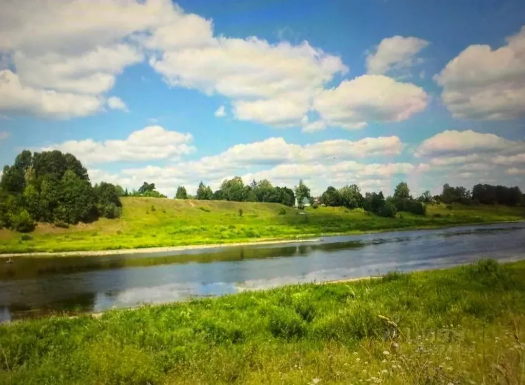 Участок в Тверская область, Старицкий муниципальный округ, д. Кучково  ... - Фото 1