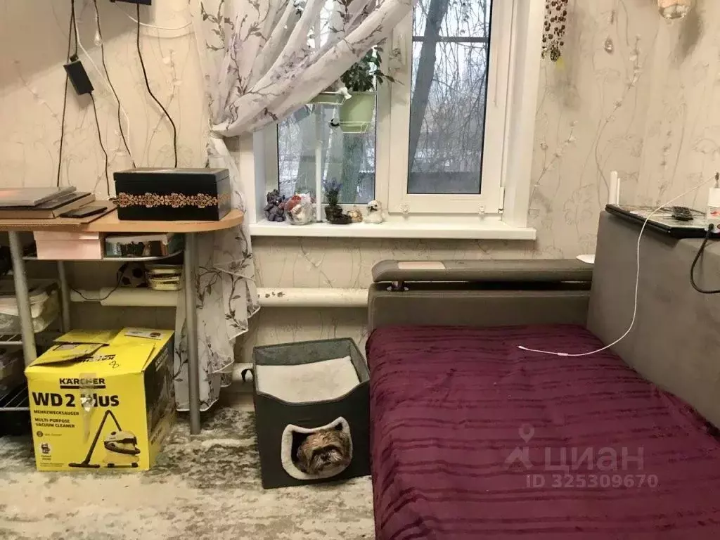 Студия Костромская область, Кострома ул. Шагова, 98 (15.0 м) - Фото 1