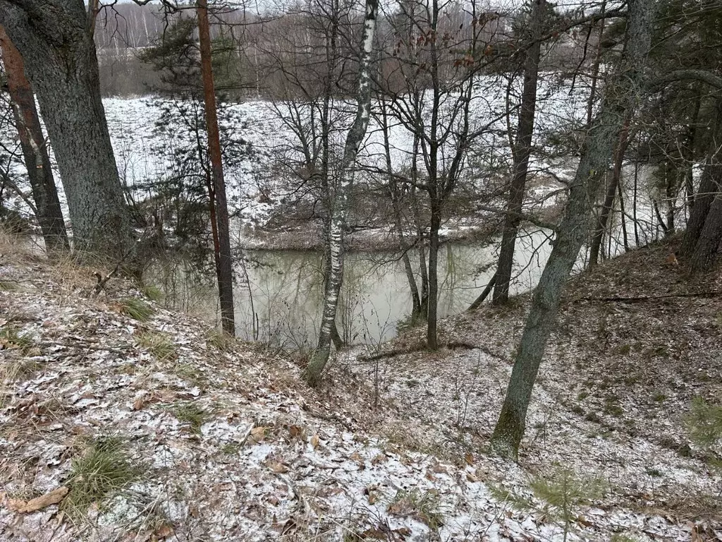 Участок в Владимирская область, Александровский район, Каринское ... - Фото 0