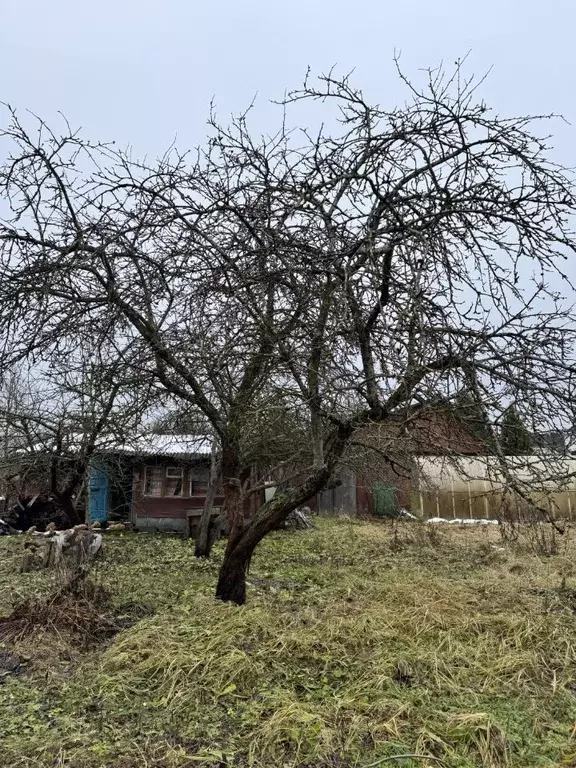 Участок в Ленинградская область, Гатчинский муниципальный округ, ... - Фото 2