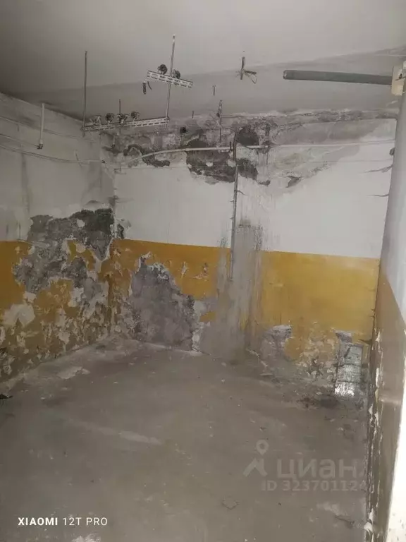 Помещение свободного назначения в Омская область, Омск ул. 12 Декабря, ... - Фото 2