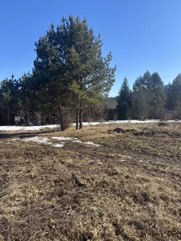 Участок в Красноярский край, Дивногорск городской округ, пос. Манский  ... - Фото 1