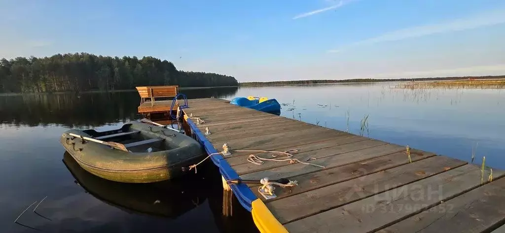 Дом в Карелия, Пряжинский район, Эссойльское с/пос, д. Курмойла 43А ... - Фото 0