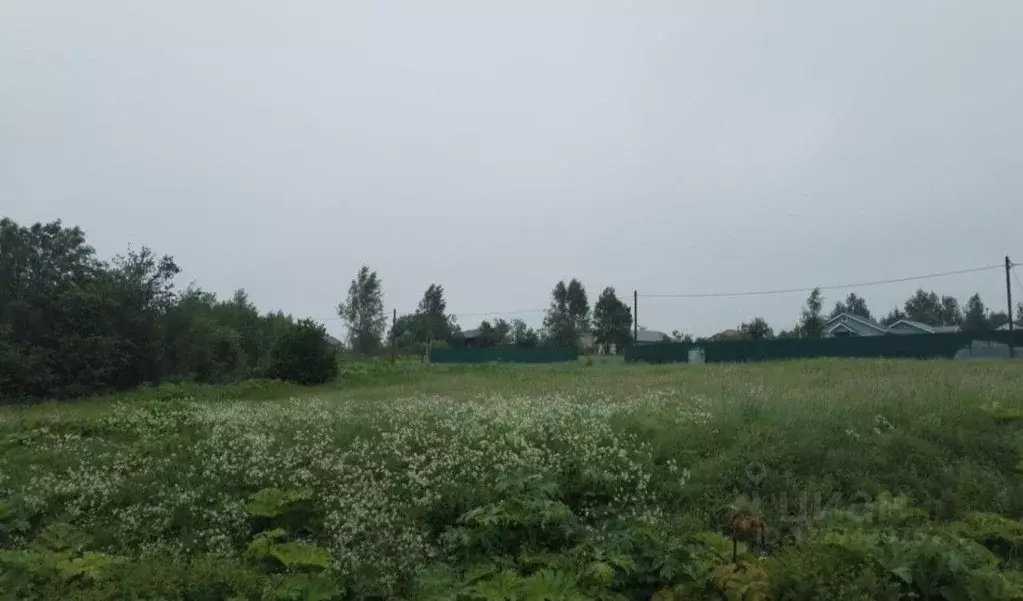 Участок в Московская область, Дмитровский муниципальный округ, с. ... - Фото 1