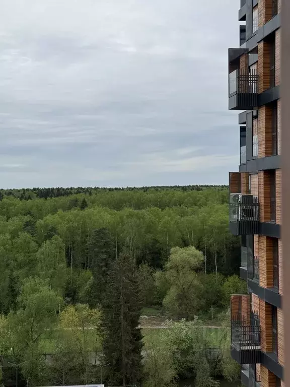 1-к кв. Москва ул. 1-я Ватутинская, 14к2 (34.3 м) - Фото 2