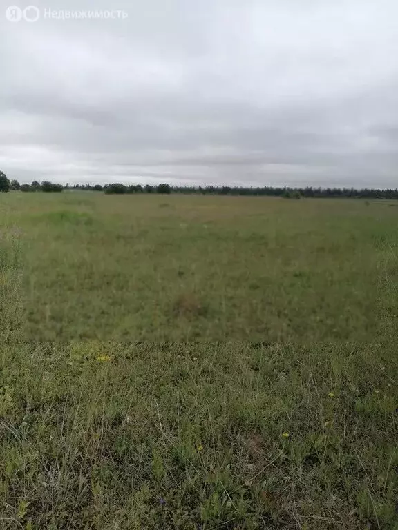 Участок в Кипенское сельское поселение, деревня Глухово (200 м) - Фото 1