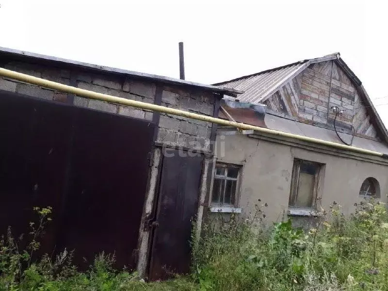 Дом в Свердловская область, Нижний Тагил  (47 м) - Фото 1