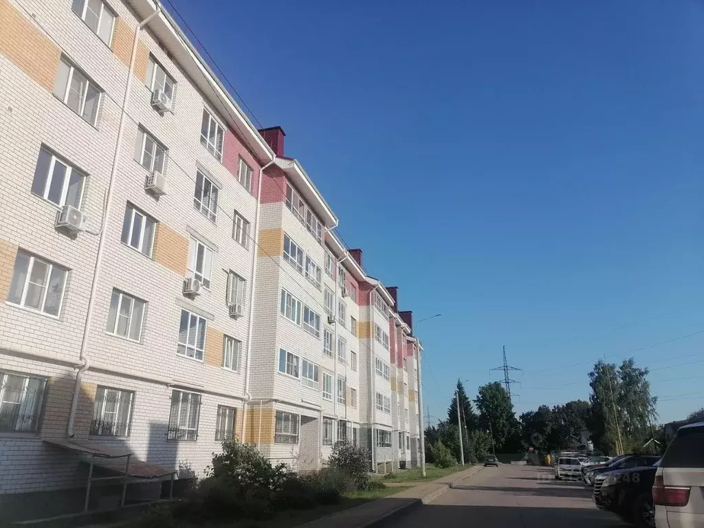 1-к кв. Нижегородская область, Бор ул. Степана Разина, 24 (39.0 м) - Фото 0