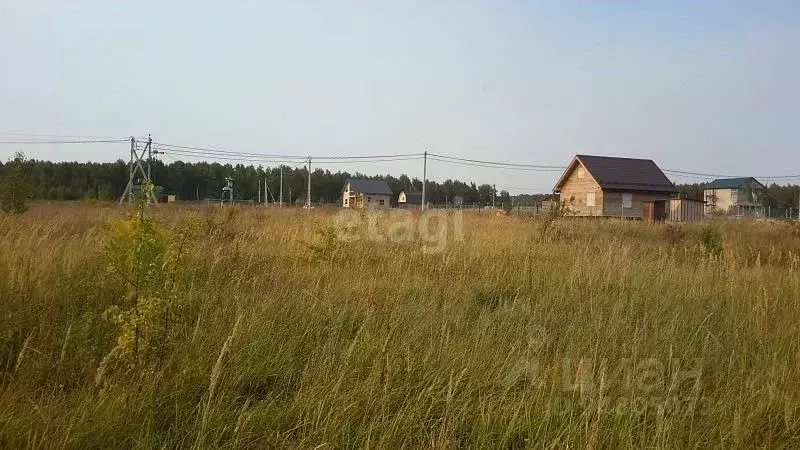 Участок в Владимирская область, Петушинский район, Пекшинское ... - Фото 1