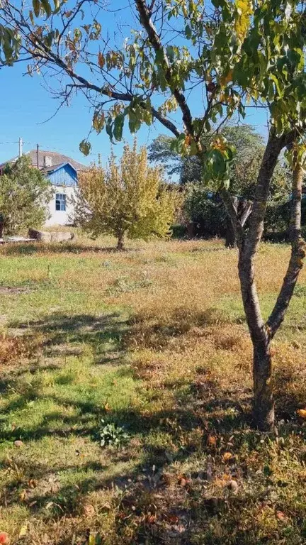 Участок в Краснодарский край, Новороссийск городской округ, Раевская ... - Фото 0