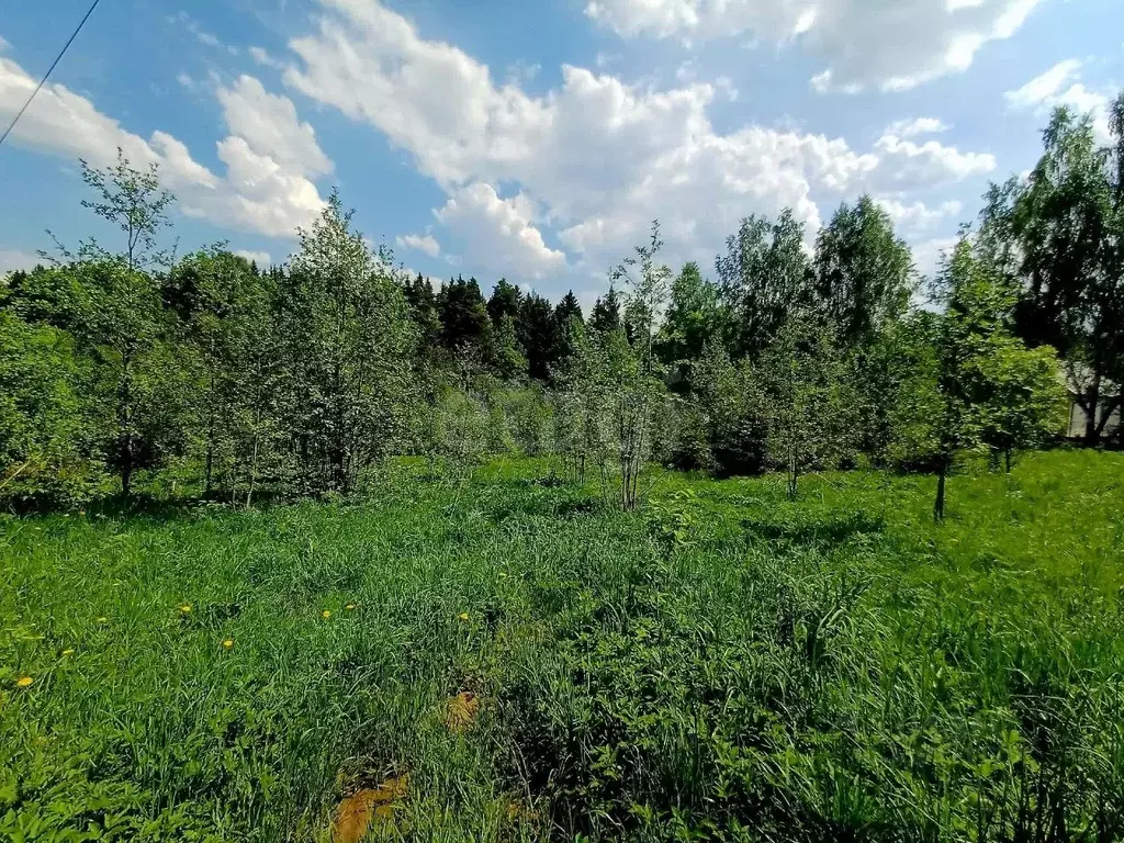 Участок в Московская область, Сергиево-Посадский городской округ, ... - Фото 2