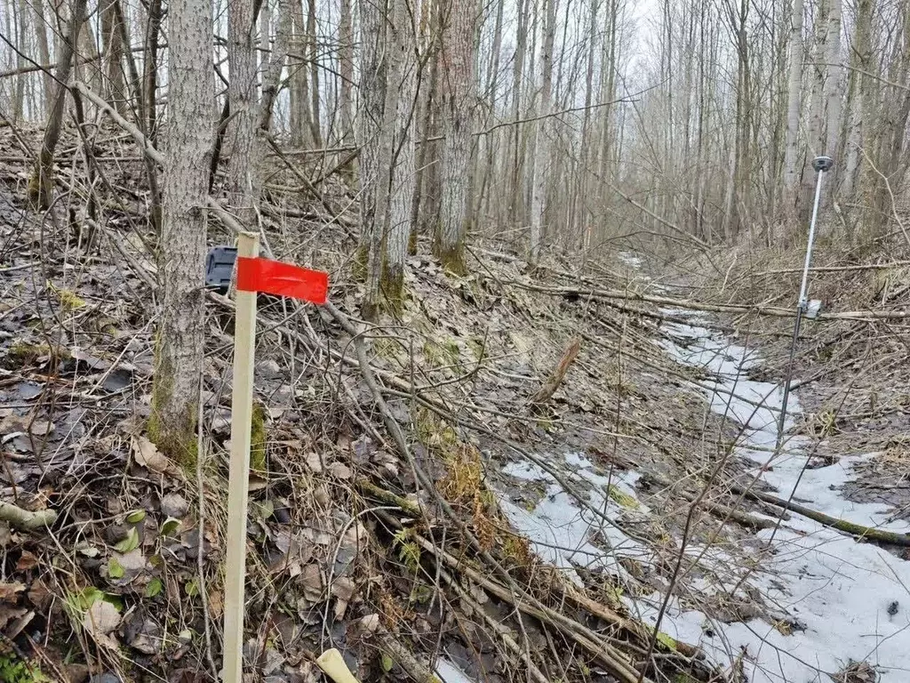 Участок в Вологодская область, Вологда Медик садоводческое ... - Фото 1