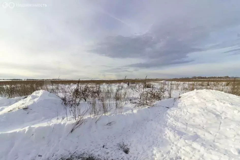 Участок в Червишевское муниципальное образование (8.6 м) - Фото 1