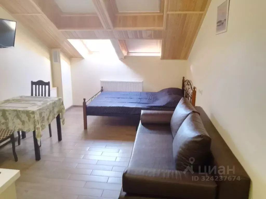 Студия Краснодарский край, Геленджик ул. Мира, 44лит5 (25.0 м) - Фото 2