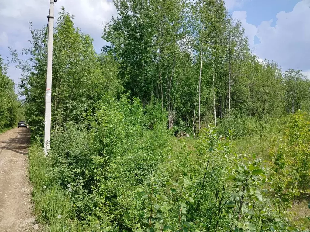 Участок в Ленинградская область, Кировский район, Мгинское городское ... - Фото 1