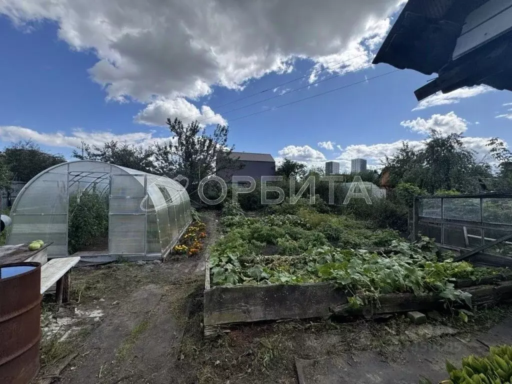 Участок в Северная Осетия, Владикавказ Наука садоводческое ... - Фото 2