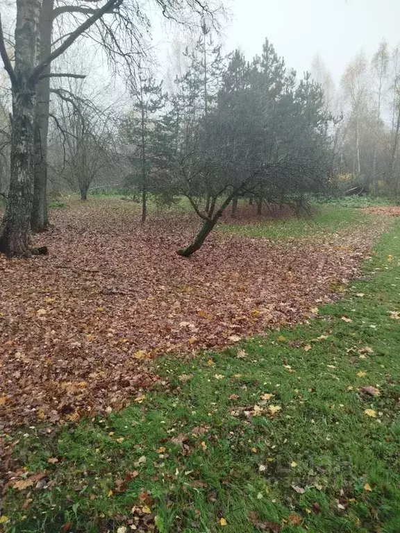 Участок в Московская область, Клин городской округ, с. Горки  (9.02 ... - Фото 1