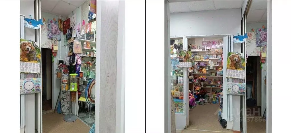 Помещение свободного назначения в Карелия, Прионежский район, пос. ... - Фото 2