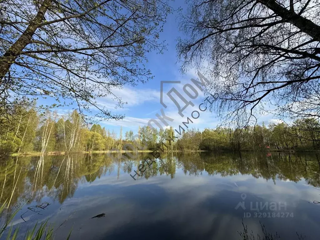 Участок в Московская область, Богородский городской округ, Мир СНТ 211 ... - Фото 1