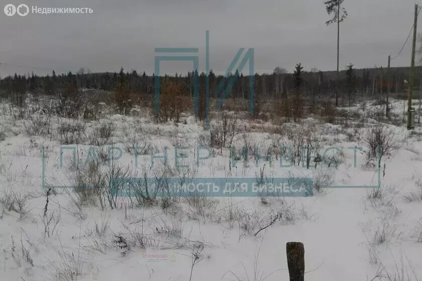 Участок в Свердловская область, муниципальный округ Ревда, село ... - Фото 2