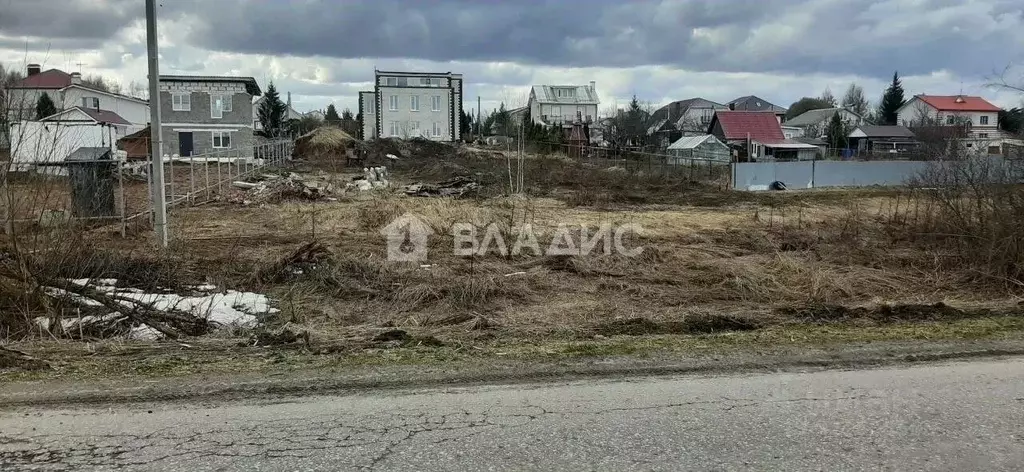 Участок в Нижегородская область, Богородский муниципальный округ, ... - Фото 1