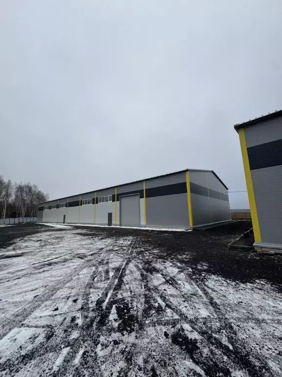 Склад в Московская область, Домодедово городской округ, д. Шахово 11 ... - Фото 2