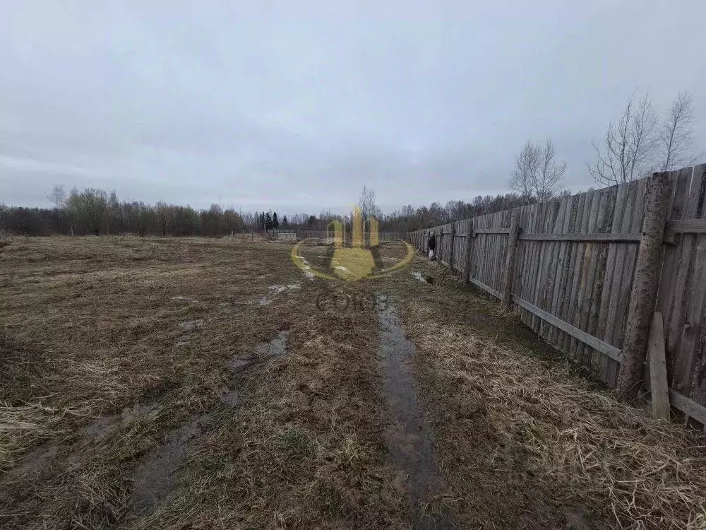 Участок в Ивановская область, Ивановский муниципальный округ, д. ... - Фото 2