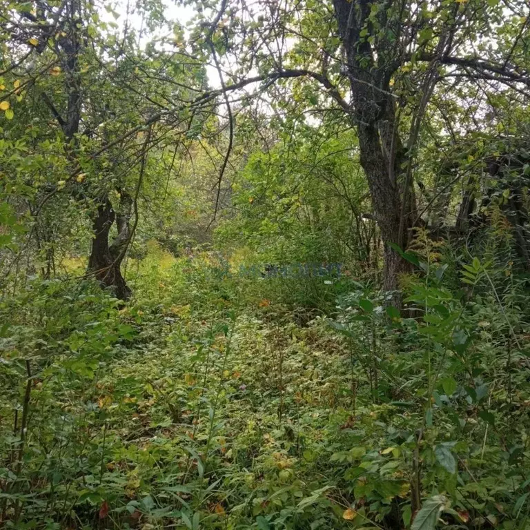 Участок в Нижегородская область, Нижний Новгород Связь СНТ,  (4.6 ... - Фото 1