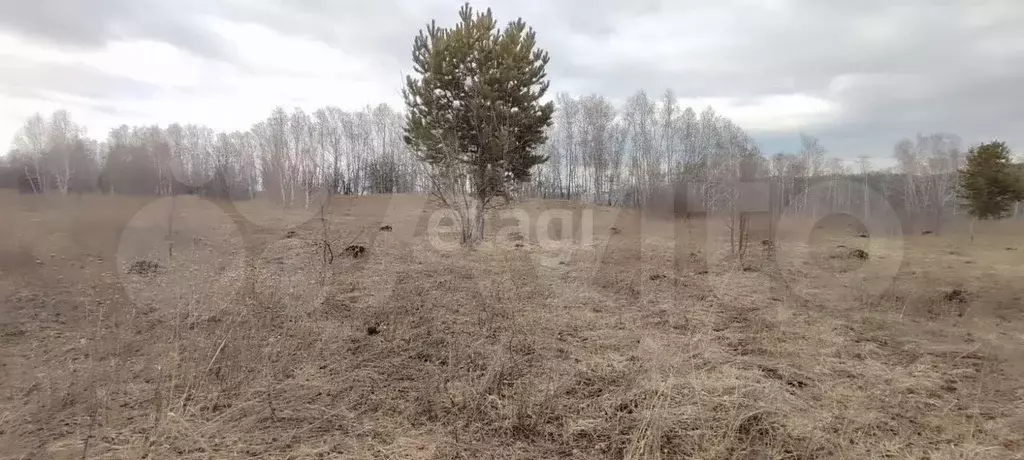 Участок 20 сот. (СНТ, ДНП) - Фото 1