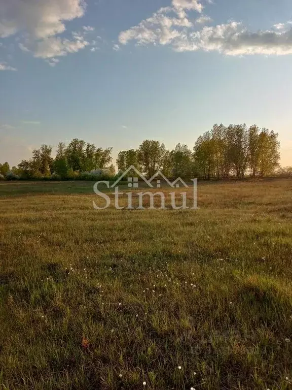 Участок в Хакасия, Усть-Абаканский район, с. Калинино Зеленая ул., 65 ... - Фото 0