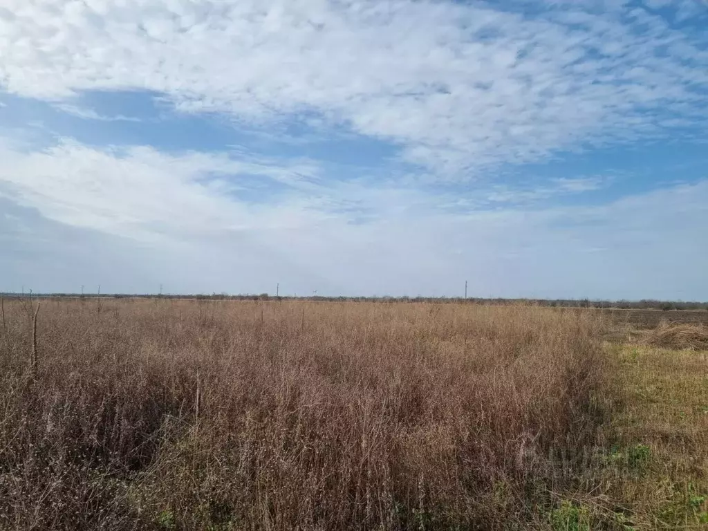 Участок в Краснодарский край, Щербиновский район, Новощербиновская ... - Фото 0