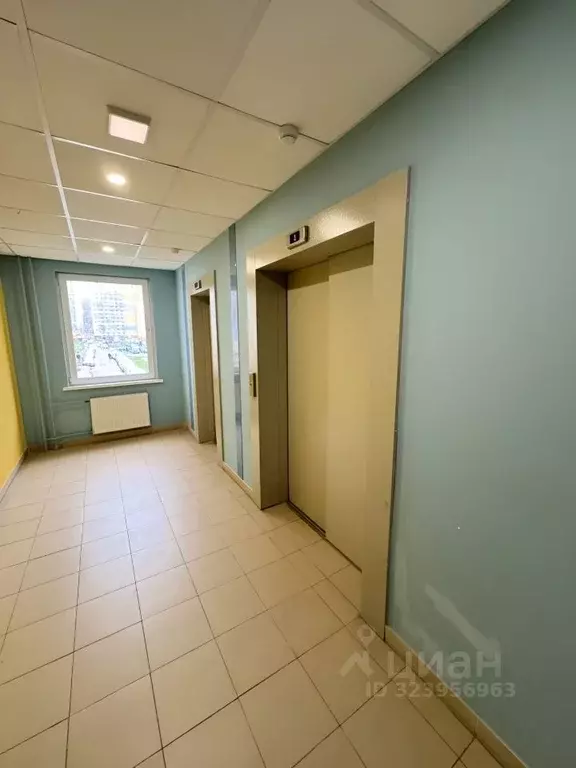 Студия Ленинградская область, Мурино Всеволожский район, ул. Шувалова, ... - Фото 2